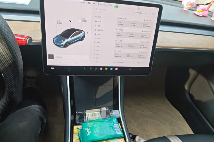 Used Tesla Model 3 2020 Revised Version Standard Range Rear-Wheel Drive – Upgraded Edition
