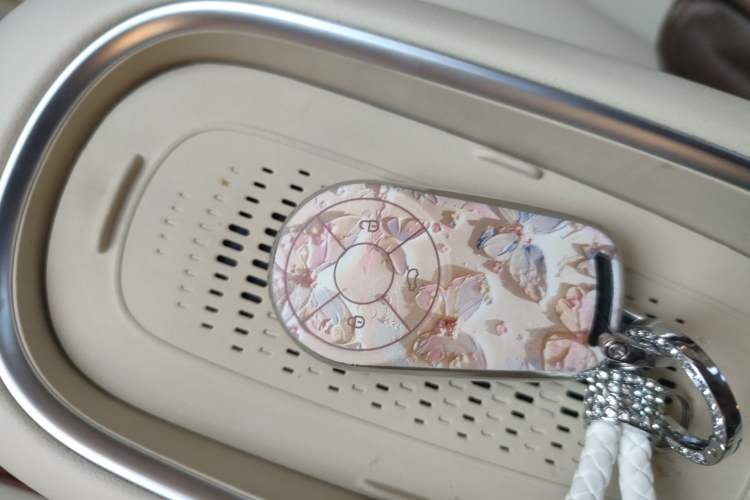 Used ORA Good Cat 2023 401 km Standard Range Luxury Version Lithium Iron Phosphate Vehicle Key