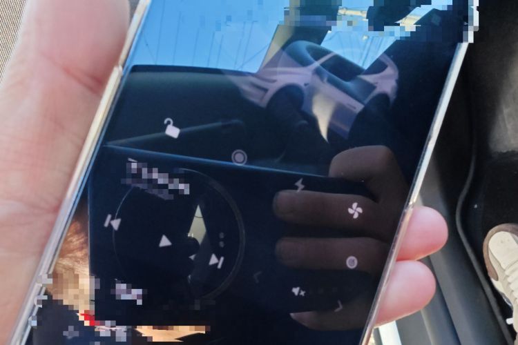 Used Tesla Model Y 2025 Rear-Wheel-Drive Version