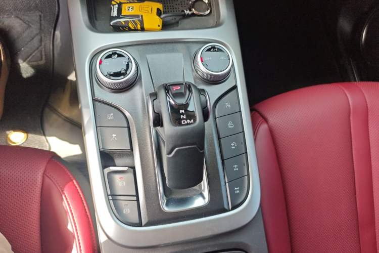 Used Tank 300 2024 2.0T Conqueror