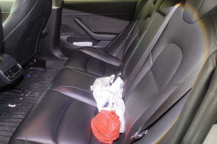 Used Tesla Model 3 2020 Revised Version Standard Range Rear-Wheel Drive – Upgraded Edition