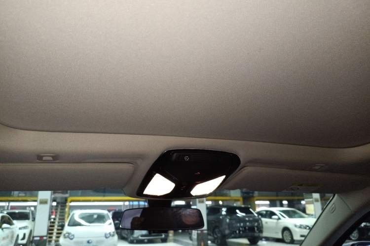 Used BMW 5 Series 2021 530Li Leading Luxury Package Headliner