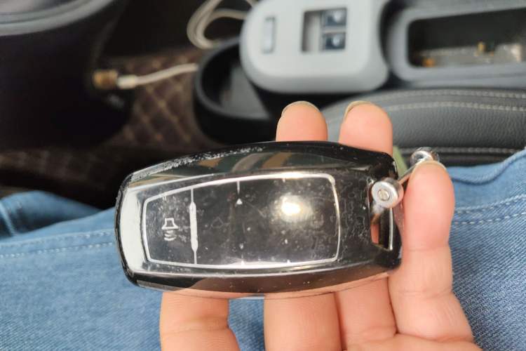 Used ORA Black Cat 2019 301km Standard Edition
