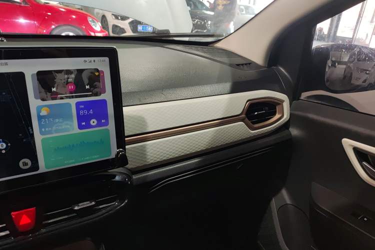 Used SOL E10X 2022 Flower Fairy Style Baby's Breath