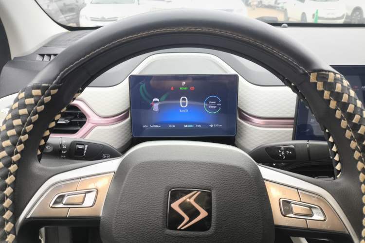 Used SOL E10X 2022 Flower Fairy Design Four-Leaf Clover Instrument Cluster