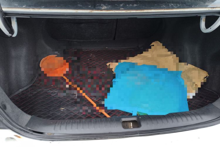 Used Geely Auto Vision 2015 1.5L Manual Happiness Edition
