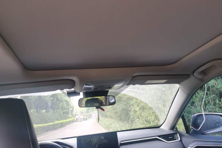 Used Toyota RAV4 2023 2.0L CVT Two-Wheel Drive 20th Anniversary Platinum Edition Headliner