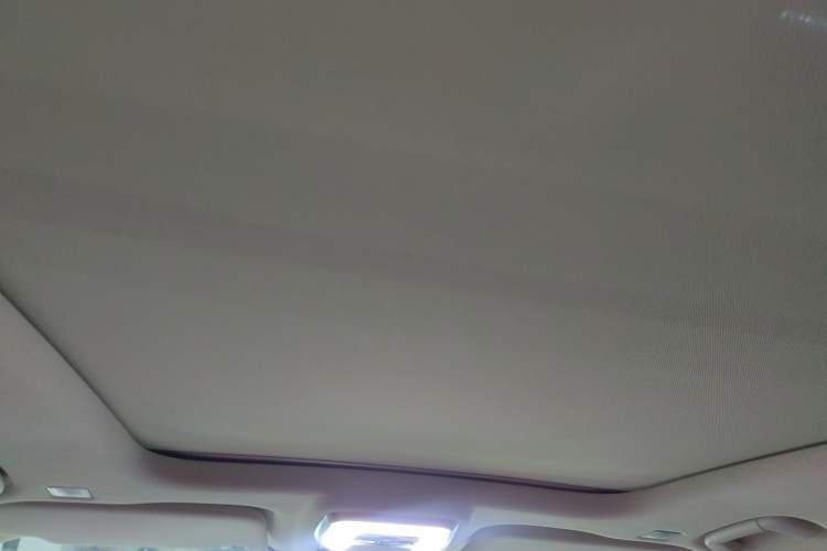 Used Hongqi E-HS9 2021 510 km Range Flagway Edition Six Seats Headliner