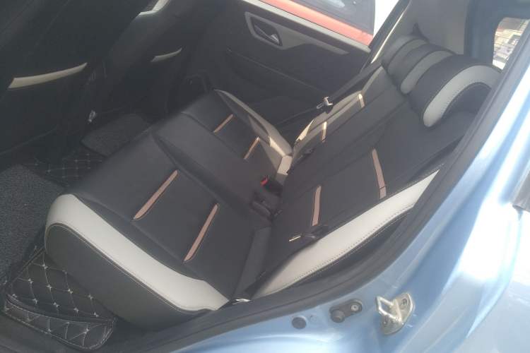 Used SOL E10X 2022 Flower Fairy Design Four-Leaf Clover