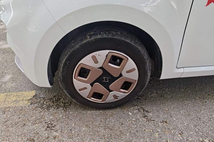 Used SOL E10X 2022 Flower Fairy Design Dandelion
