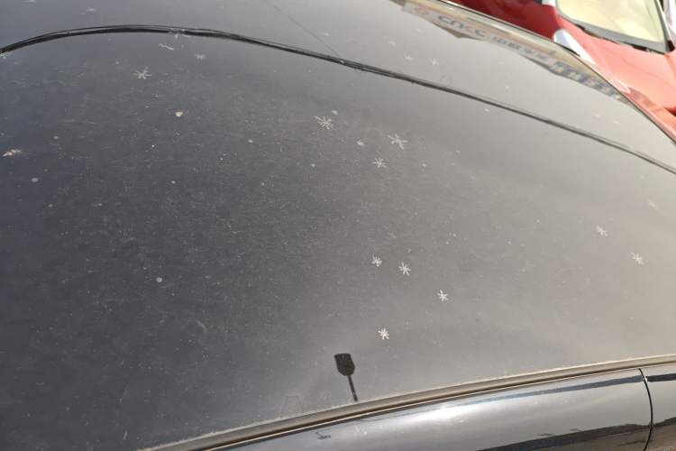 Used Chery Little Ant 2022 Sweet Pink Edition Half-Sugar Version Lithium Iron Phosphate 30 kW 301 km
