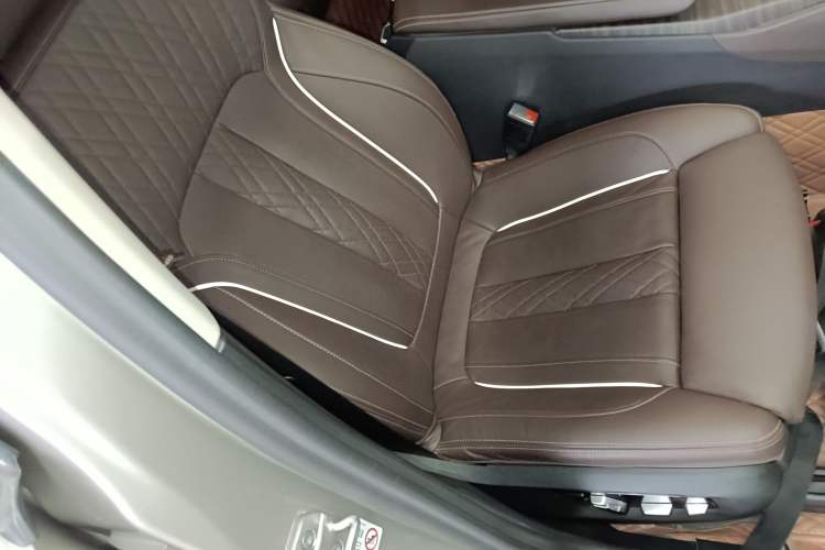 Used BMW 5 Series New Energy 2020 Mileage Upgrade Version 530Le Pioneer Edition Right Front Seat