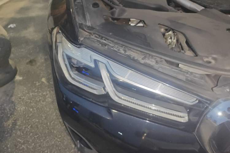 Used BMW 5 Series 2021 530Li Leading Luxury Package