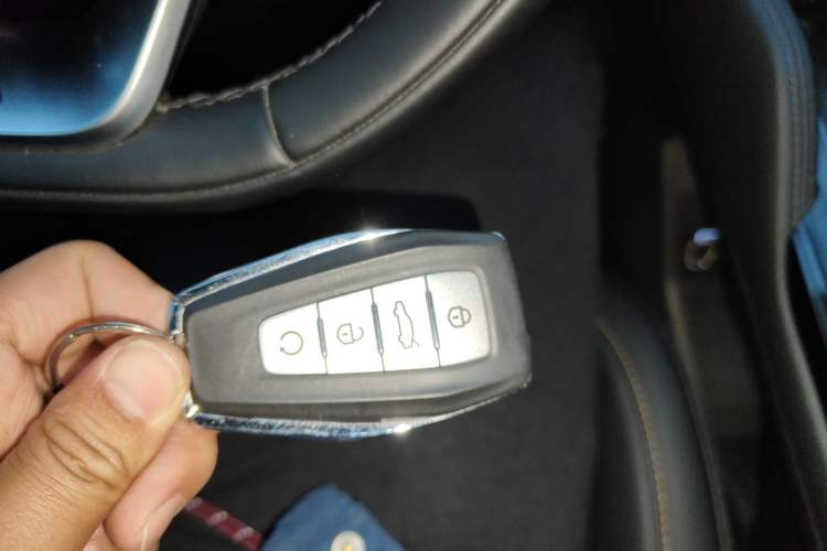 Used Geely Auto Monjaro L 2024 2.0TD DCT EVO Two-Wheel Drive Long-Range Version