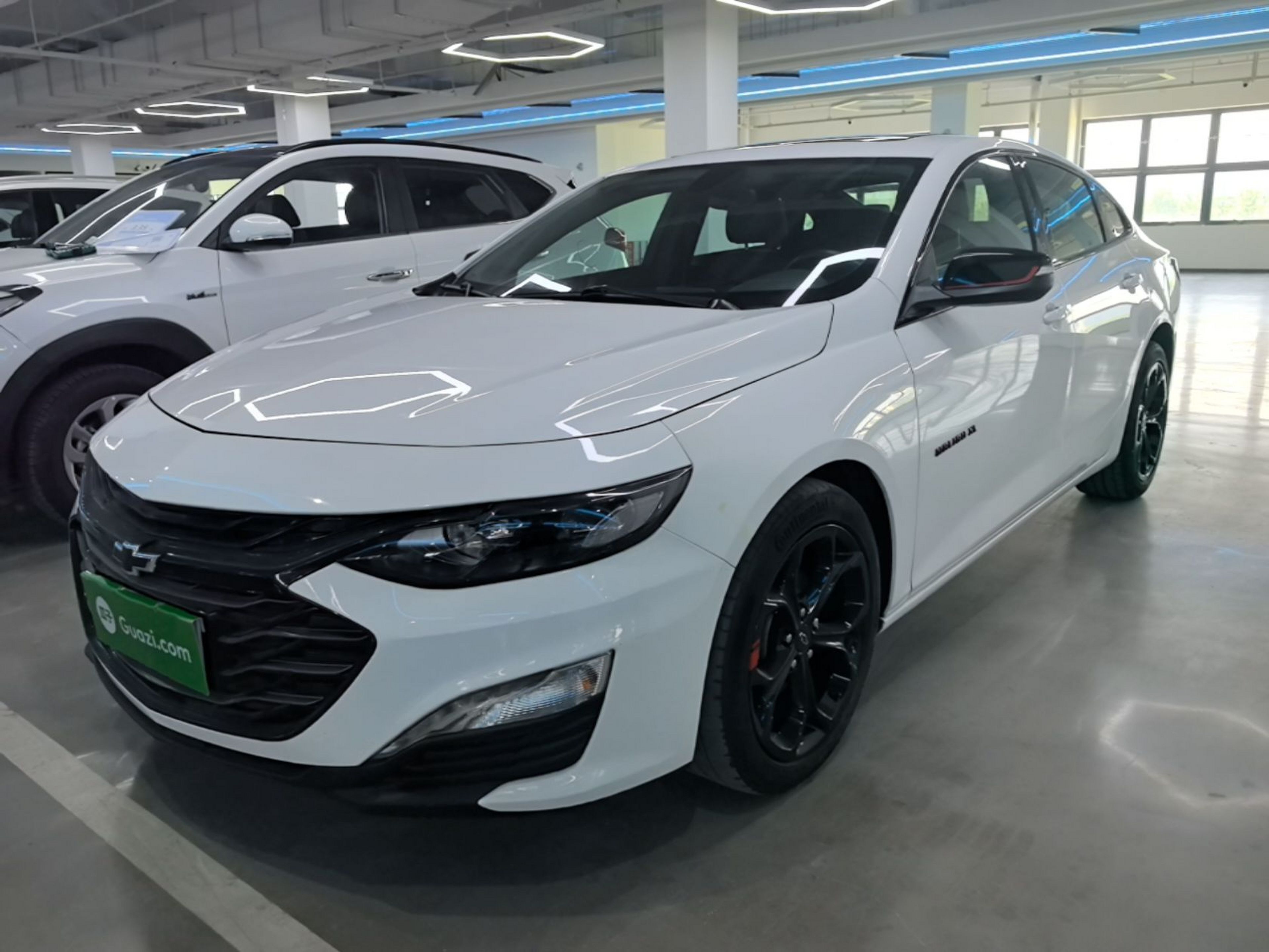 Under Front Bumper