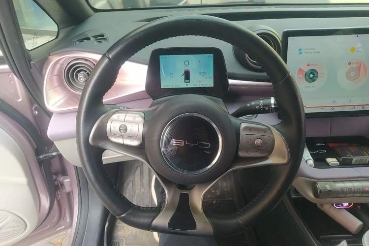 Used BYD Dolphin 2021 405 km Free Version
