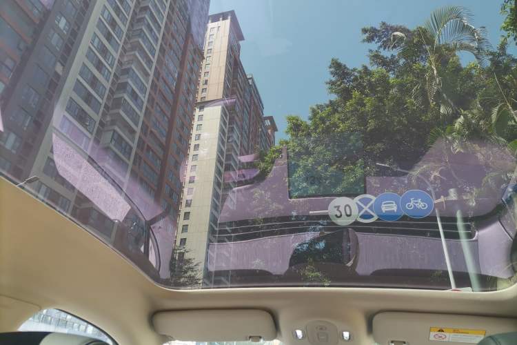 Used firefly firefly 2025 Night Creature Special Edition
