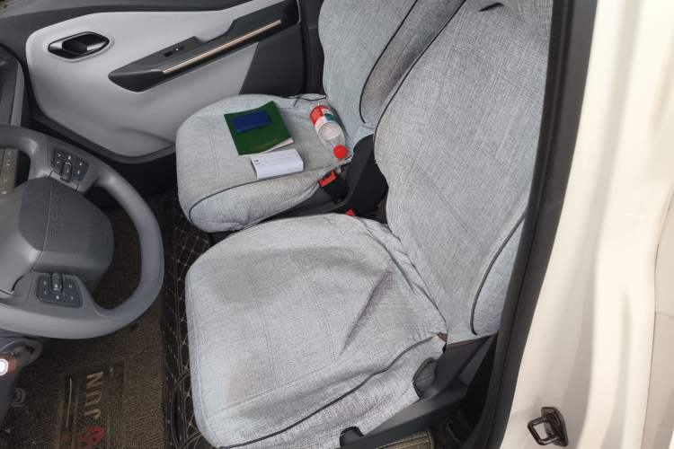 Used Baojun E200 2019 250KM Smart Drive Edition Left Rear Seat