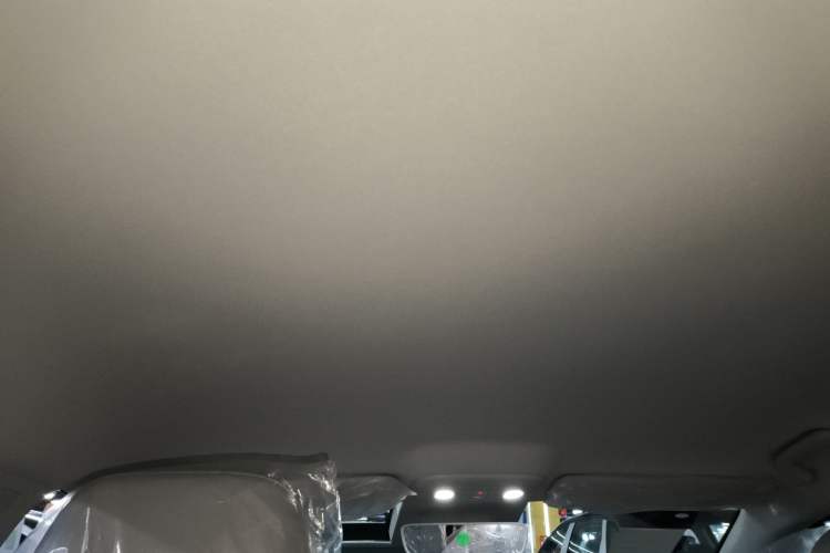 Used Leapmotor B01 2025 430 Comfort Edition Headliner