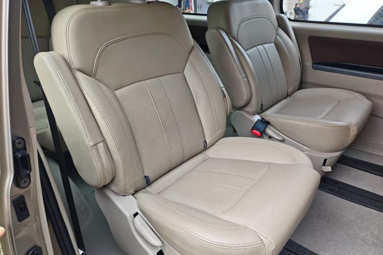 Used FORTHING Lingzhi M5 2020 Long-Range Luxury 7-Seater Model

