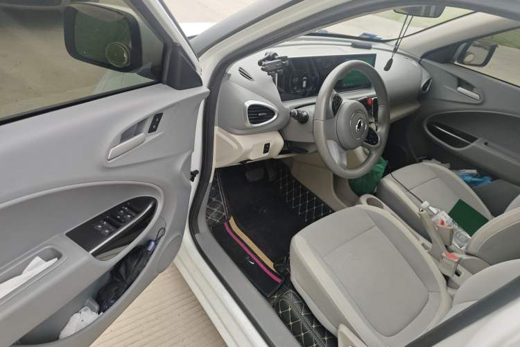 Used ORA White Cat 2020 360km Standard Version Driver Seat