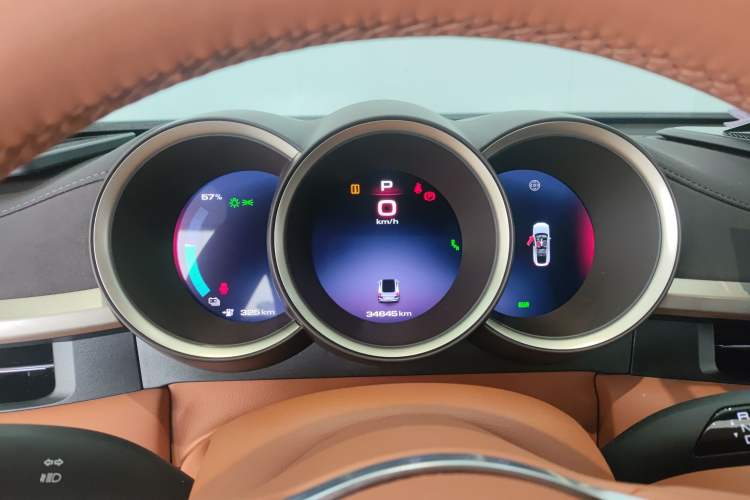 Used ORA Lightning Cat 2022 555 km Luxury Edition
