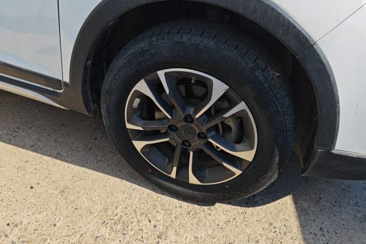 Used Livan Maple 30X 2020 Style Edition
