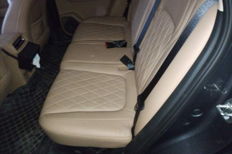 Used Landian E5 PLUS 2026 Model 165km Long-Range First-Adoption Version Ultra 5-seater