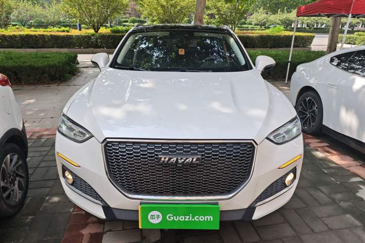 Used Haval F5 2019 National Trend Edition 1.5T i-Trend China VI Standard