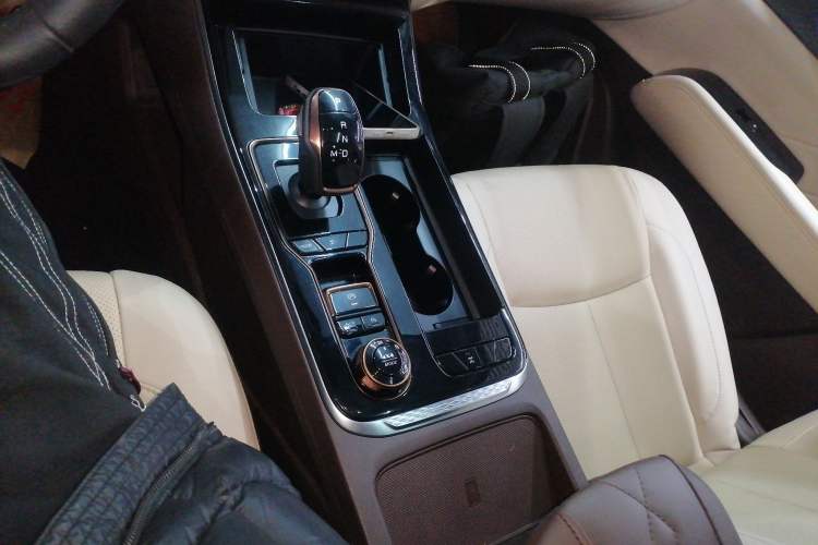 Used Dongfeng Fengdu Paladin 2023 2.0T Four-Wheel Drive Luxury Edition