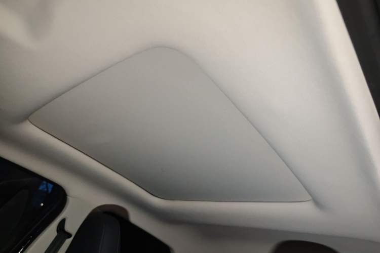 Used Leapmotor T03 2020 400 Luxury Edition Headliner