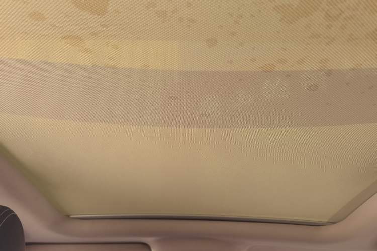 Used BYD Song New Energy 2019 Song EV500 Smart Connect Elite Model Headliner