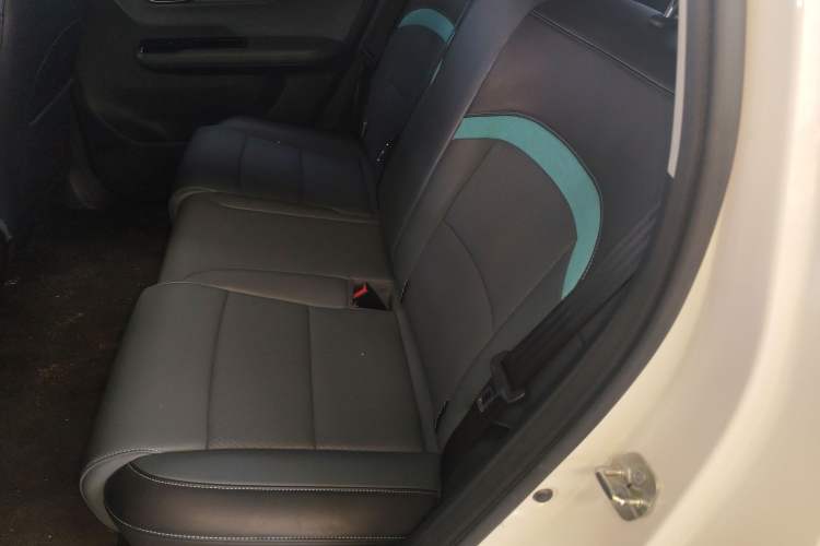 Used AION Y 2024 Plus 510 Intelligent Driving Version Left Rear Seat