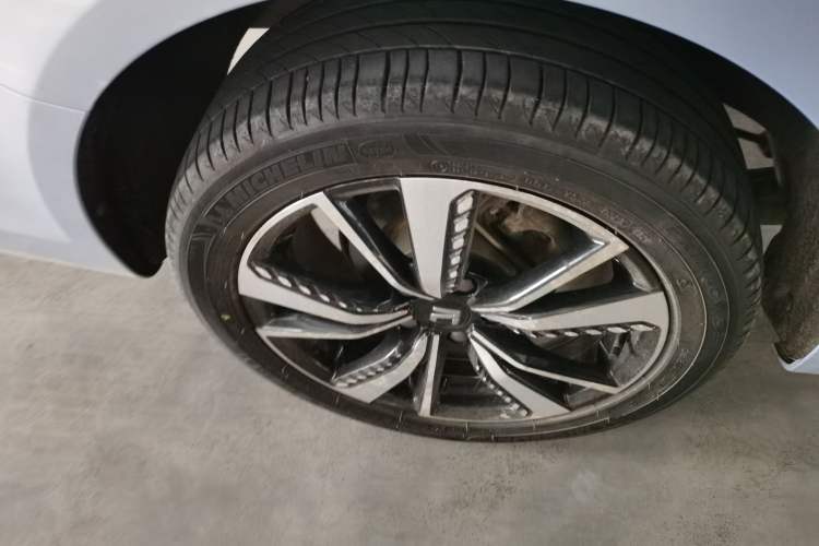 Used Rising ER6 2021 New Dynamic Edition 620km Smart Enjoyment Version
