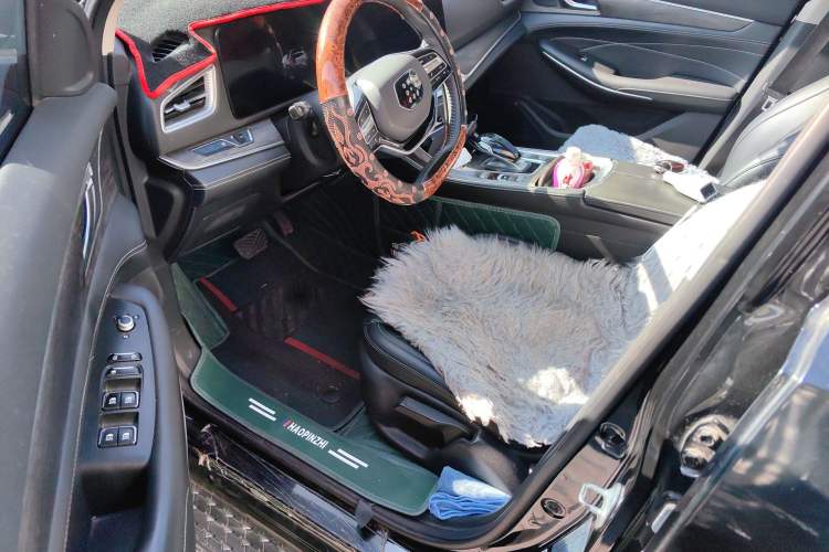 Used Landian E5 2024 Honor Edition 100KM Comfort Model 7 Seats Driver Seat