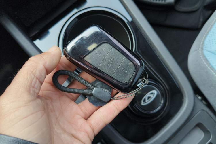 Used Chery QQ Little Ant 2022 Sweet Pink Edition Half-Sugar Version Lithium Iron Phosphate 30 kW 301 km
