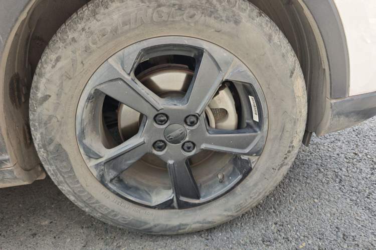 Used Geometry E Firefly 2024 401 km Fluorescent
