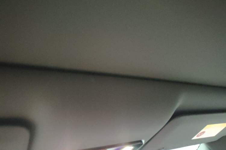 Used Li Auto i6 2025 Model Two-Wheel-Drive Standard Type Headliner