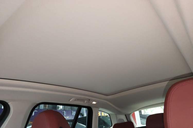Used BMW iX3 2022 Leading Type Headliner