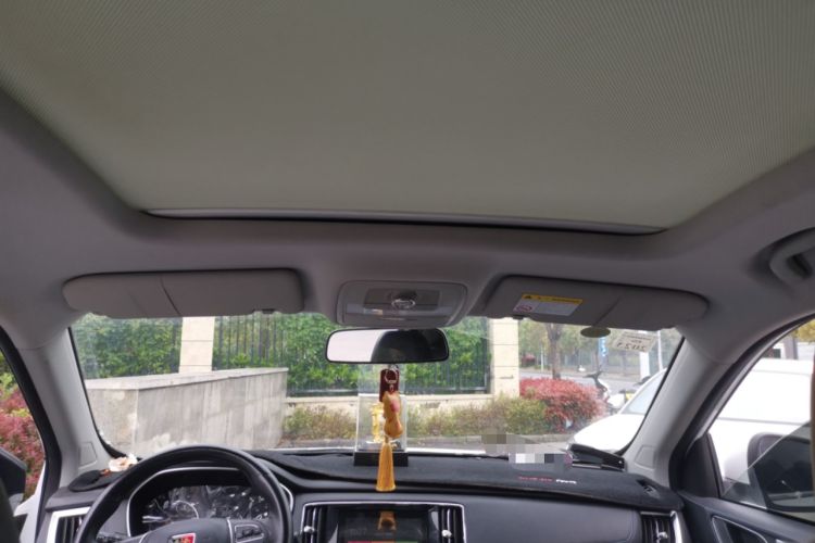 Used Roewe RX5 2020 20T Automatic 4G Connected Million Edition Headliner