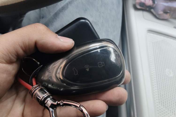 Used Wey Lanshan 2023 Two-Wheel Drive Long-Range Version Vehicle Key