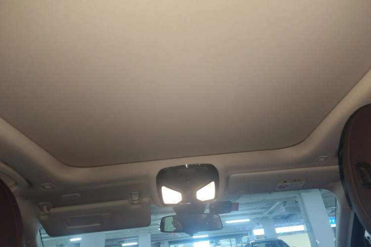 Used BMW 3 Series 2020 320Li M Sport Package Headliner