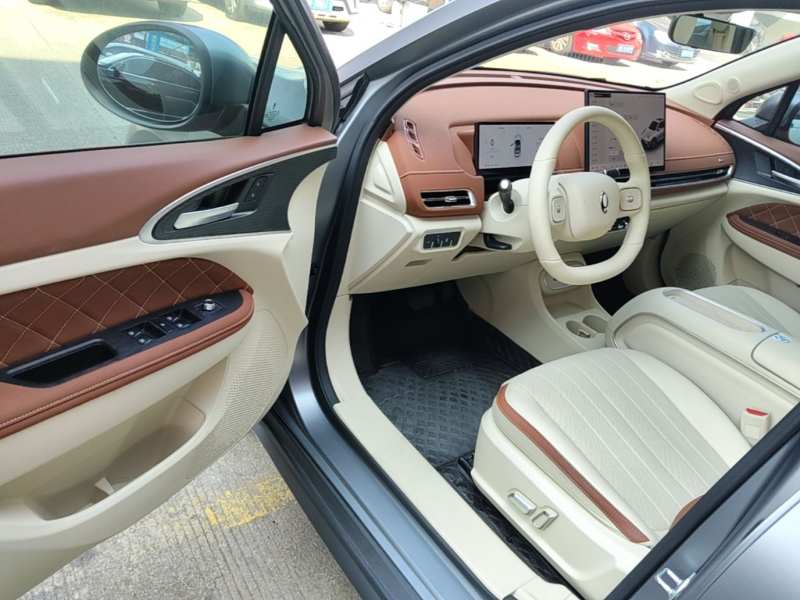 Used ORA Good Cat 2025 Model, 430 km Prestige Version — 15