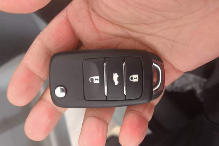 Used CHANGAN NEVO Lumin 2025 205 km Xiangqin Version Interior 1