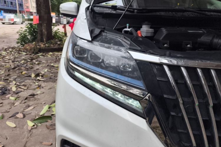 Used Honda Elysion 2019 2.0L Hybrid Luxury Edition