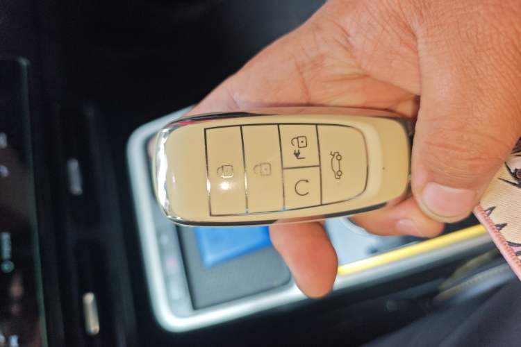 Used AION Y 2022 70 Enjoyment Edition Lithium Iron Phosphate
