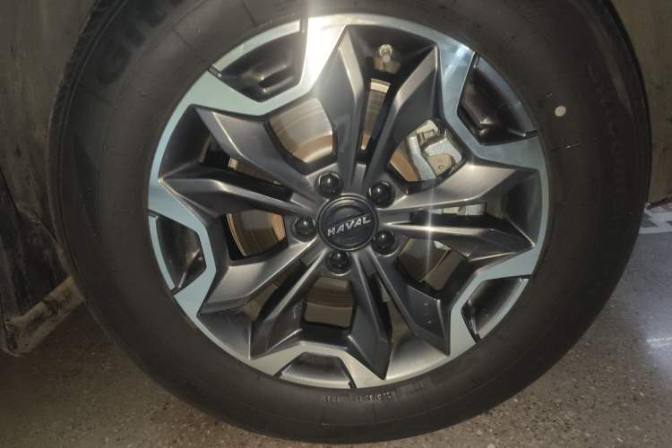 Used Haval DARGO 2022 2.0T DCT 4x4 Chinese Rural Dog Edition
