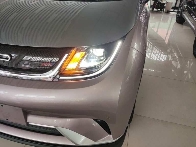 Used BYD Dolphin 2023 401km Knight Edition — 23
