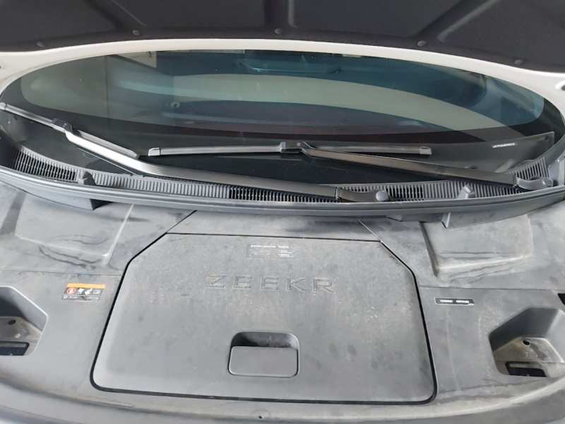 Used Zeekr 009 2022 WE Edition — 19