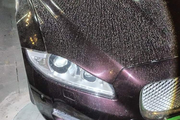 Used Jaguar XJ 2015 XJL 3.0 SC Elegant Business 80th Anniversary Limited Edition